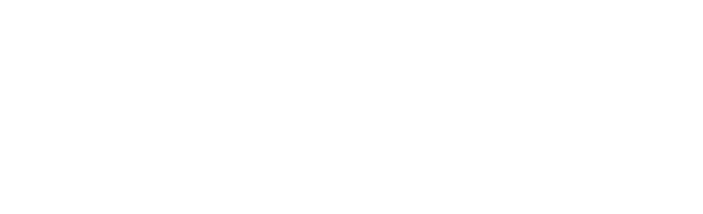 adeptaudio